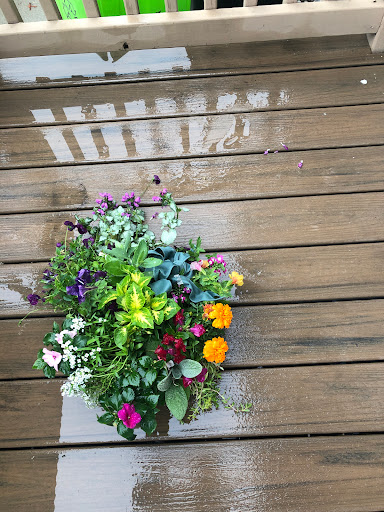 Florist «St. Clair Greenhouses & Florist», reviews and photos, 7043 Big Hand Rd, St Clair, MI 48079, USA