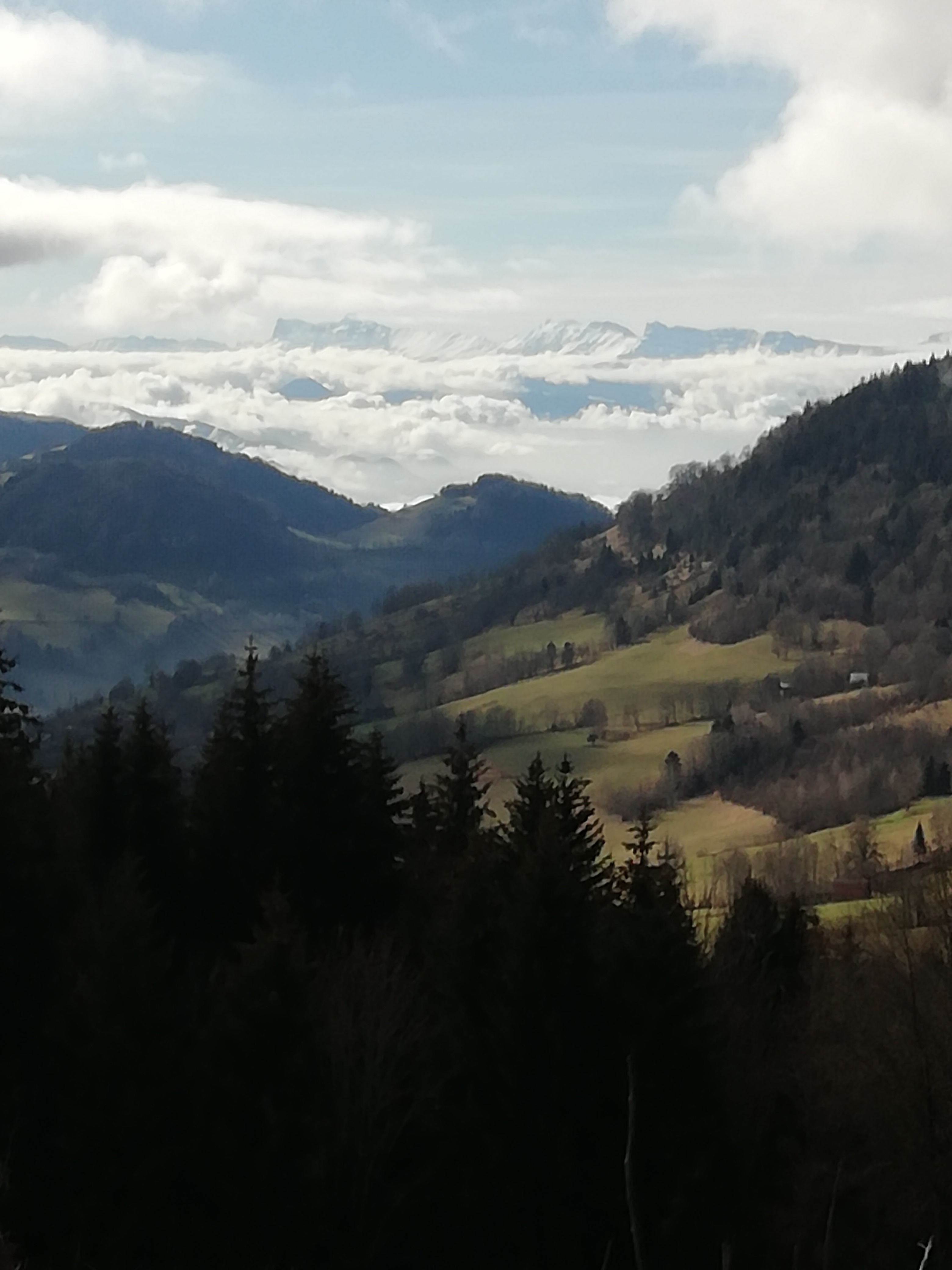 Photo n° 2 de l'avis de Dominique.a fait le 01/02/2021 à 10:04