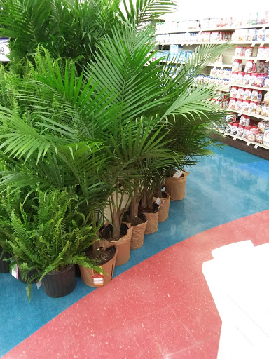 Supermarket «Woods Supermarket», reviews and photos, 409 S Ash St, Buffalo, MO 65622, USA