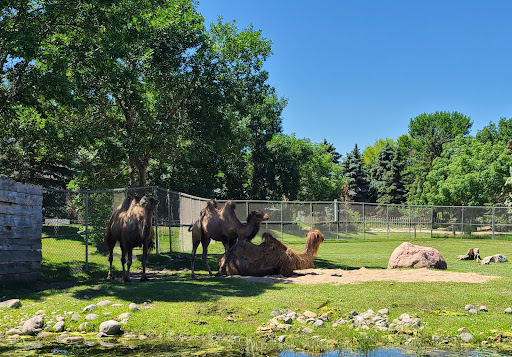 Zoo «Red River Zoo», reviews and photos, 4255 23rd Ave S, Fargo, ND 58104, USA