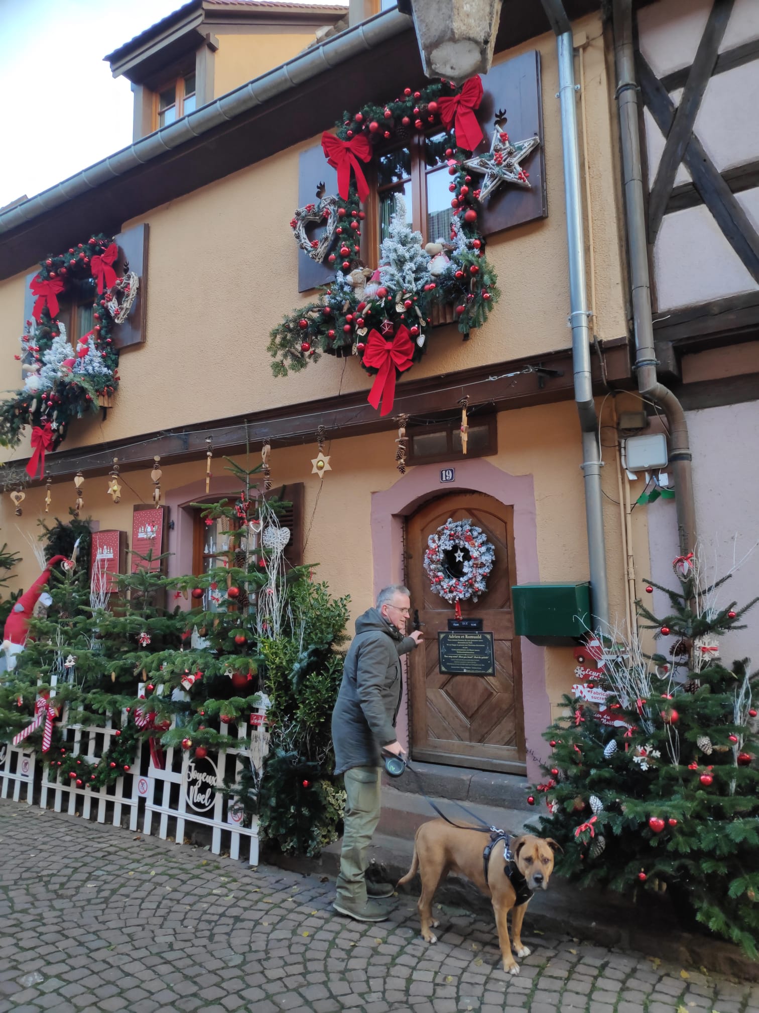 Photo n° 1 de l'avis de Guus.o fait le 03/12/2023 à 19:59
