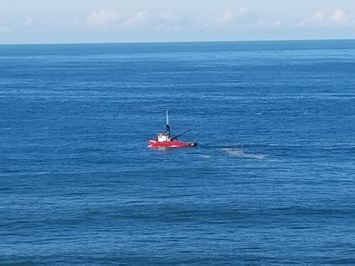 Tourist Attraction «Heceta Head Lighthouse», reviews and photos, 725 Summer St, Florence, OR 97439, USA