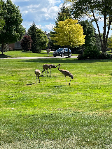 Golf Course «Tanglewood Golf Course», reviews and photos, 22805 Country Club Dr, South Lyon, MI 48178, USA