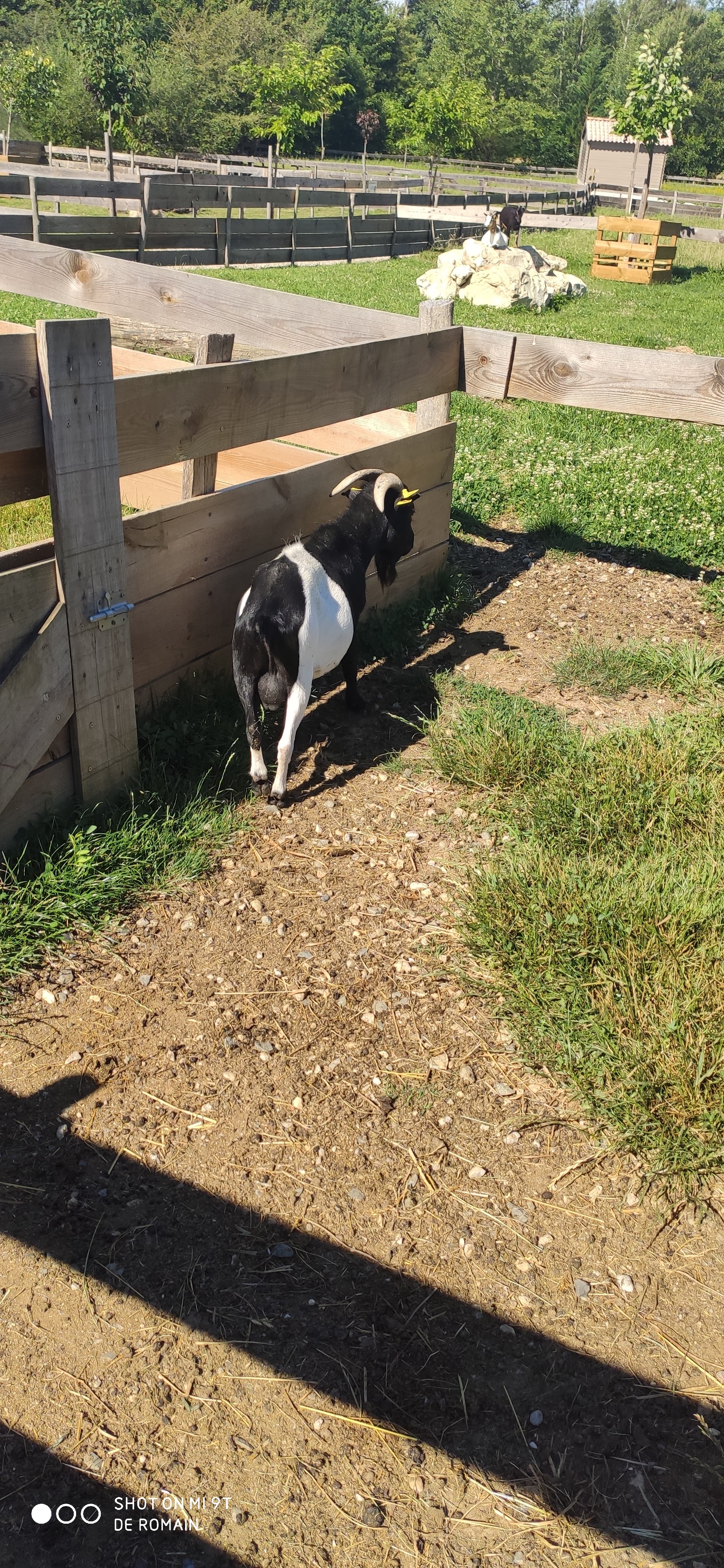 Photo n° 13 de l'avis de Romain.o fait le 12/07/2020 à 18:05