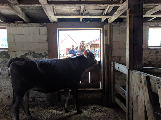 Dairy Farm «Sugar Hill Dairy», reviews and photos, 600 Pleasant St, Bridgewater, MA 02324, USA