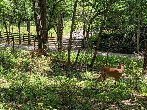 Park «Percy Warner Park», reviews and photos, 7311 Tennessee 100, Nashville, TN 37221, USA