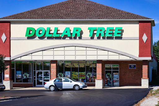 Dollar Store «Dollar Tree», reviews and photos, 230 W Lake St, Addison, IL 60101, USA