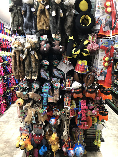 Pet Store «El Granero Pet Shop», reviews and photos, 15700 Atlantic Ave, Compton, CA 90221, USA