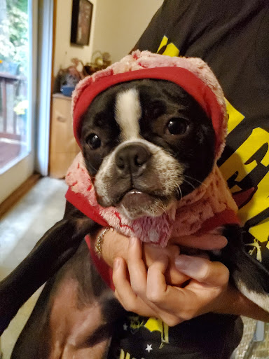 Pet Supply Store «PetSmart», reviews and photos, 139 Radio Dr, Stroudsburg, PA 18360, USA