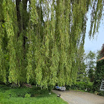 Photo n°4 de l'avis de Christoph.o fait le 09/05/2024 à 16:35 sur le  Marienstübchen à Sande