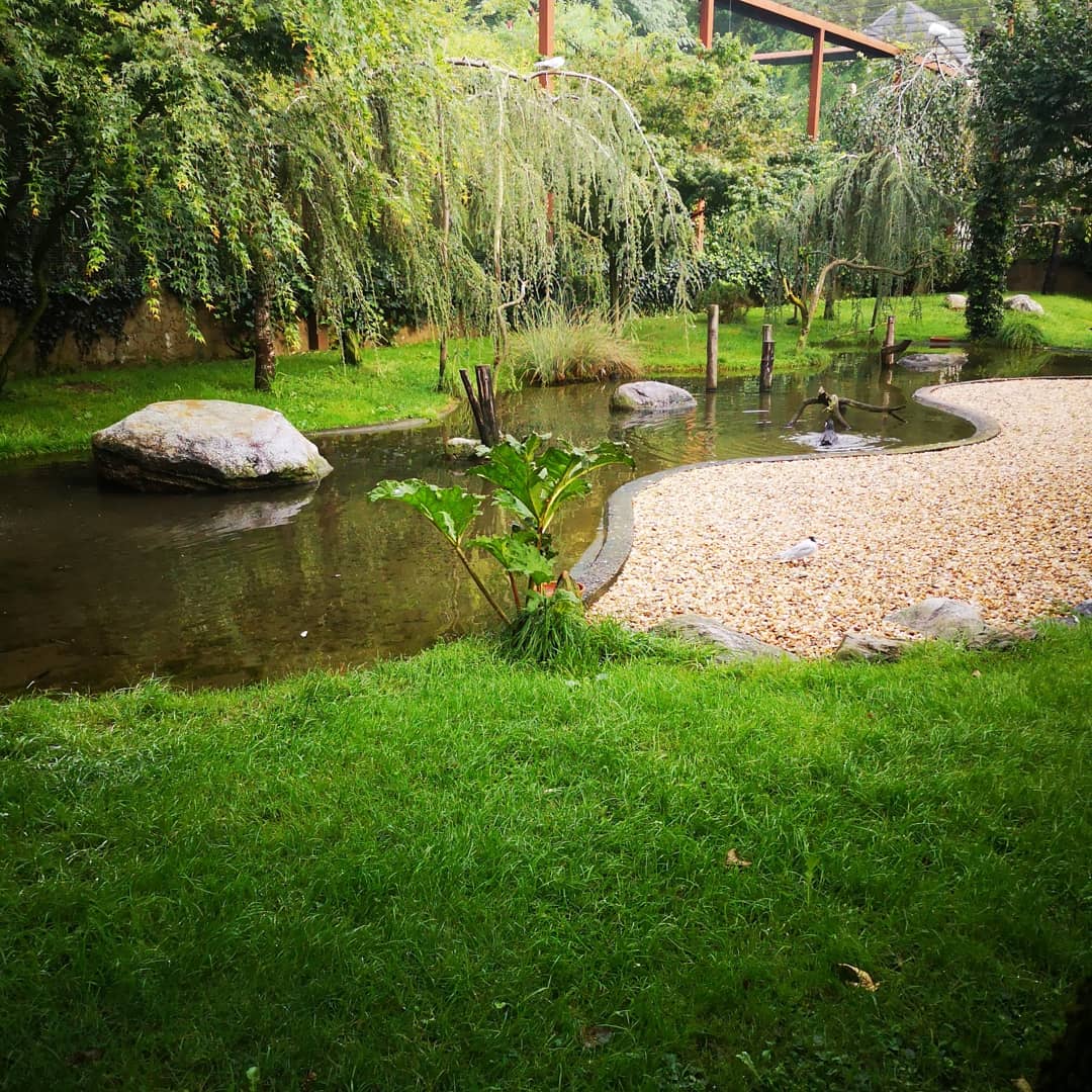 Photo n° 3 de l'avis de Xxx.x fait le 14/08/2020 à 21:01