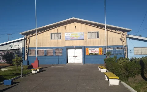 Gimnasio Municipal Los Cóndores image