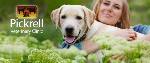 Pickrell Veterinary Clinic image