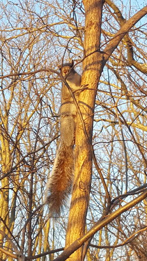 Park «Kissena Park», reviews and photos, 164-15 Booth Memorial Ave, Fresh Meadows, NY 11365, USA