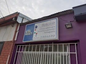 Servicios Veterinarios Claudia Larrain Valenzuela