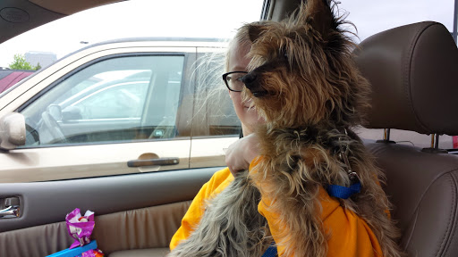 Pet Supply Store «PetSmart», reviews and photos, 5640 Cedar Lake Rd, Minneapolis, MN 55416, USA