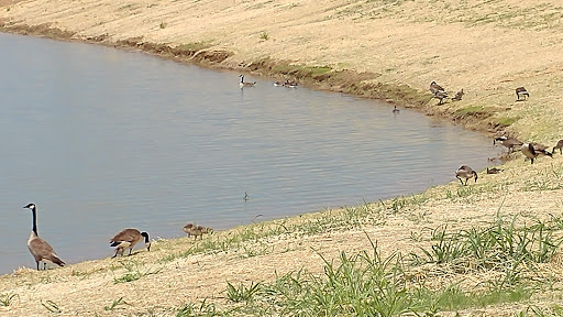 Park «River Legacy Parks East», reviews and photos, 1601 NE Green Oaks Blvd, Arlington, TX 76006, USA