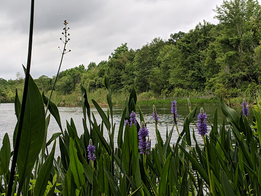 Park «Alafia River State Park», reviews and photos, 14326 S County Rd 39, Lithia, FL 33547, USA