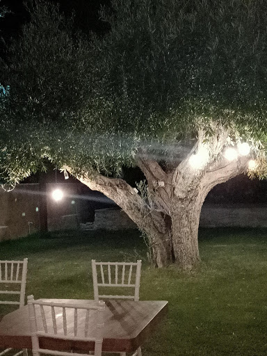 Jardín