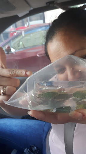 Pet Store «Pet Source 1901», reviews and photos, 1901 W 8th St B, Los Angeles, CA 90057, USA