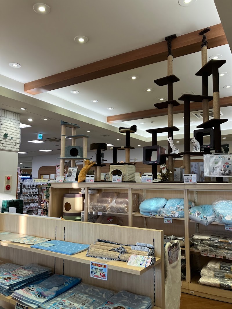 PET FOREST あざみ野店