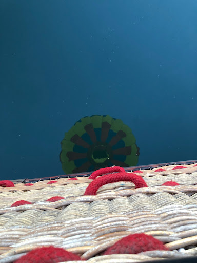 Balloon Ride Tour Agency «Vista Balloon Adventures», reviews and photos, 1050 Commerce Pkwy, Newberg, OR 97132, USA