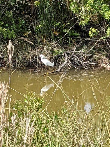 Nature Preserve «Scottsmoor Flatwoods Sanctuary East», reviews and photos, 6000 Magoon Ave, Mims, FL 32754, USA