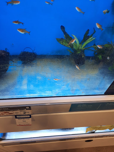 Pet Supply Store «Petco Animal Supplies», reviews and photos, 3731 Gateway Dr, Eau Claire, WI 54701, USA