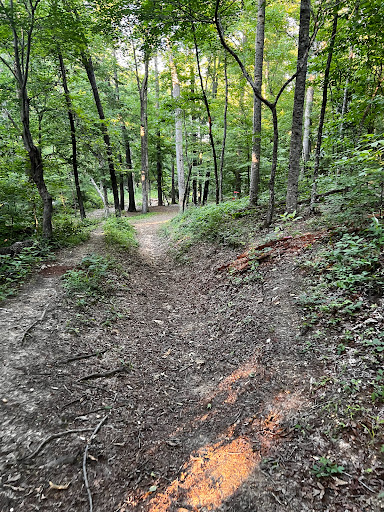 Park «Bowers Park Disc Golf Course», reviews and photos, Bowers Park Dr, Tuscaloosa, AL 35405, USA