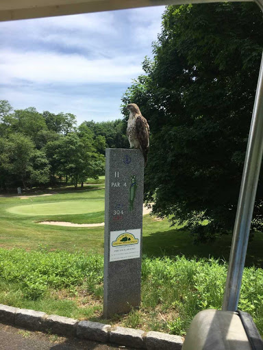 Golf Course «E. Gaynor Brennan Golf Course», reviews and photos, 451 Stillwater Ave, Stamford, CT 06902, USA