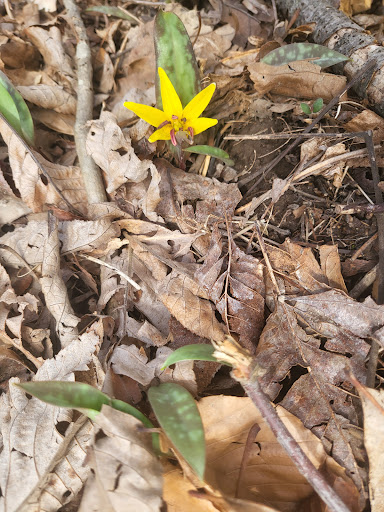 Tourist Attraction «Heflin Park», reviews and photos, 4323 W 700 N, Edinburgh, IN 46124, USA