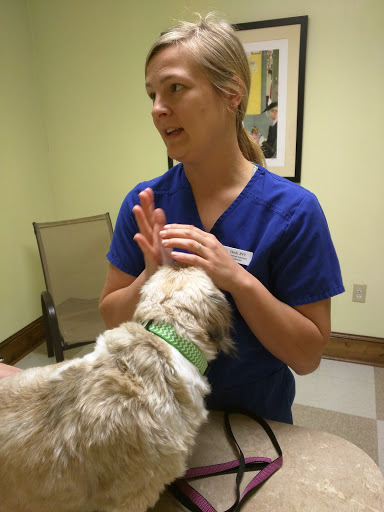 Myrtle Beach Animal Hospital image