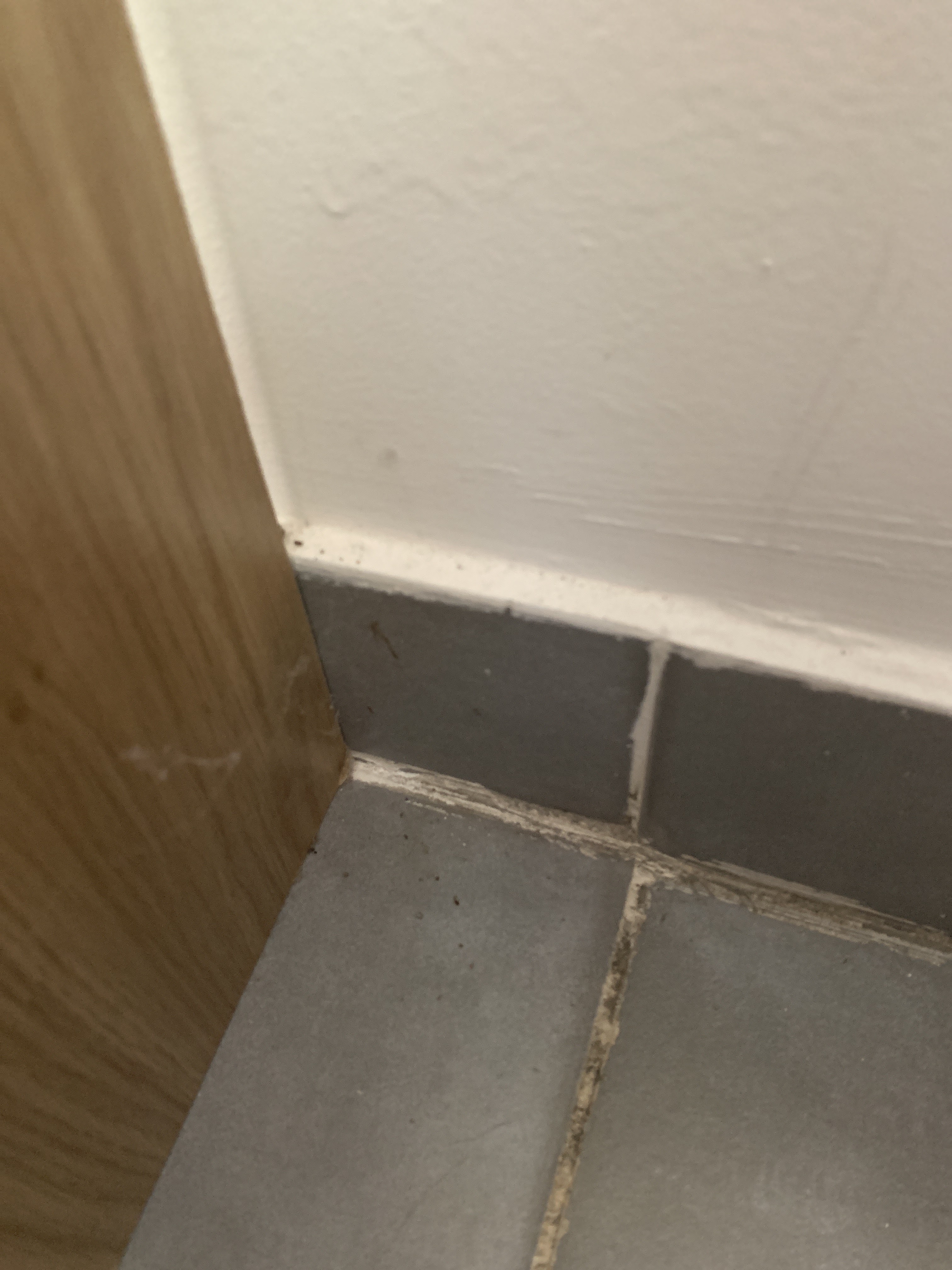 Photo n° 1 de l'avis de Susurite. fait le 23/06/2019 à 15:19