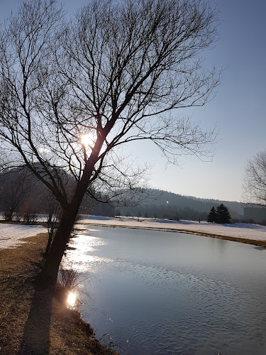 Kommentare und Rezensionen über Golf Club Domat/Ems