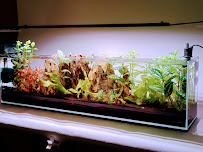 Lifegard Aquatics - Photo 6 - Car repair in Santa Fe Springs, CA, Downey