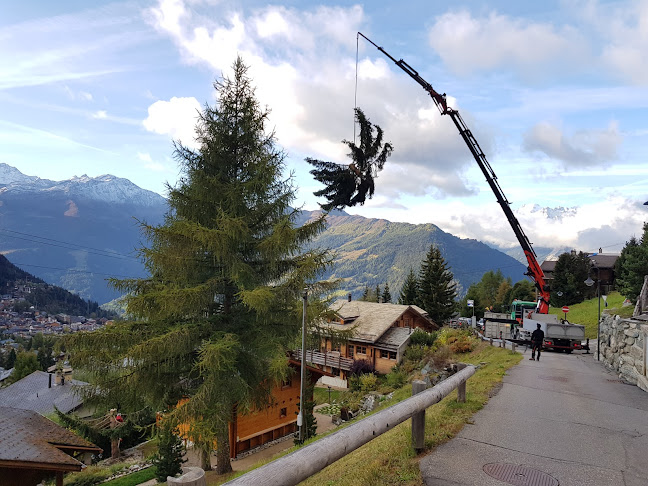 Rezensionen über Raphaël Marchetti in Martigny - Gartenbauer