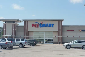 PetSmart image