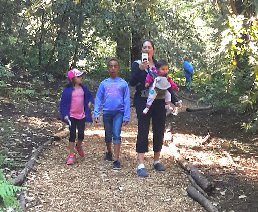 Nature Preserve «LandPaths Grove of Old Trees», reviews and photos, 17599 Fitzpatrick Ln, Occidental, CA 95465, USA