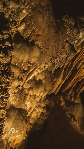Tourist Information Center «Carlsbad Caverns National Park Headquarters», reviews and photos