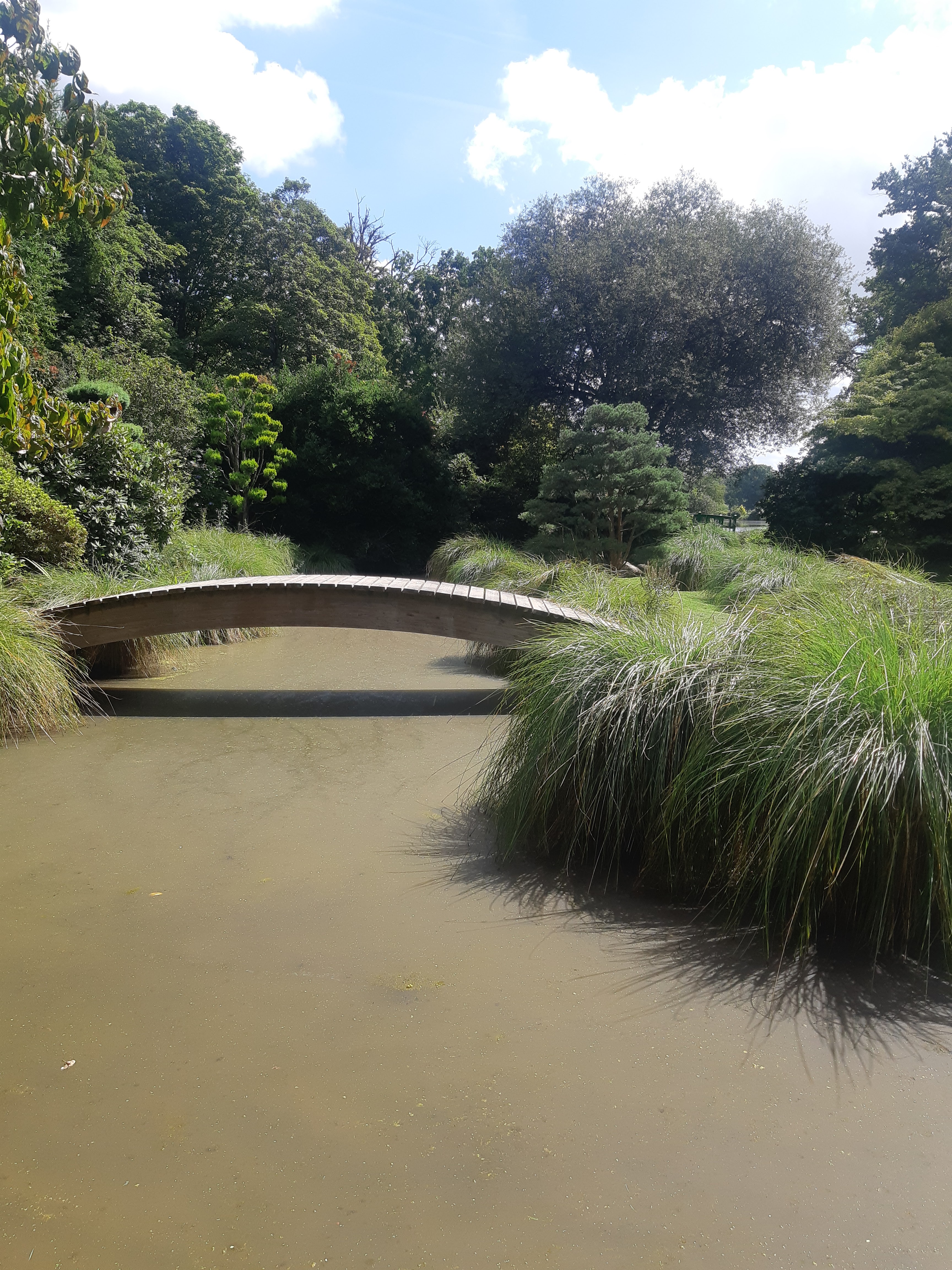 Photo n° 19 de l'avis de Monnin.h fait le 30/08/2022 à 15:51
