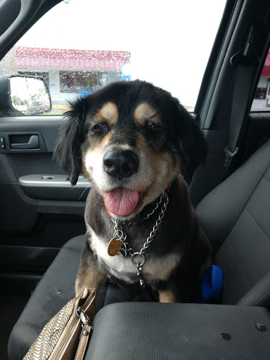 Pet Supply Store «PetSmart», reviews and photos, 1800 Evans Rd, Melbourne, FL 32904, USA