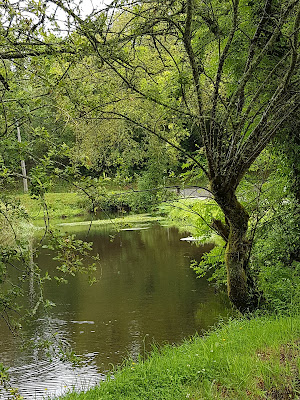 Bois de Saint Alouarn à Guengat