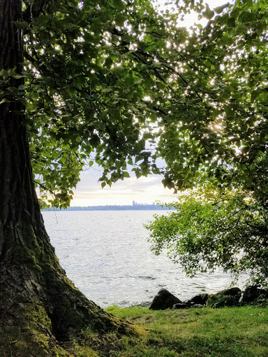 Park «Wilburton Hill Park», reviews and photos, 12400 Main St, Bellevue, WA 98005, USA