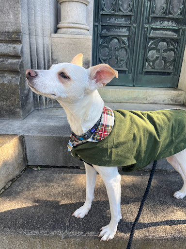 Cemetery «Oakland Cemetery», reviews and photos, 248 Oakland Ave SE, Atlanta, GA 30312, USA