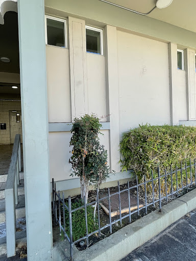 Harry & Jeanette Weinberg Hale Kuhao