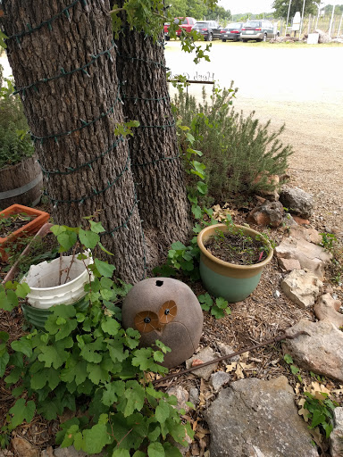 Winery «Brushy Creek Vineyards», reviews and photos, 572 Co Rd 2798, Alvord, TX 76225, USA