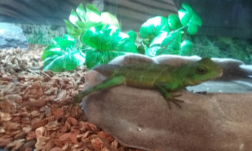 Pet Supply Store «Petco Animal Supplies», reviews and photos, 2687 Countryside Dr, Turlock, CA 95380, USA