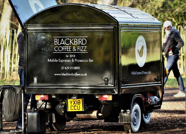 Reviews of Blackbird Coffee in Nottingham - Coffee shop