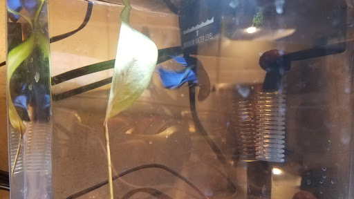 Pet Supply Store «PetSmart», reviews and photos, 1743 Stringtown Rd, Grove City, OH 43123, USA