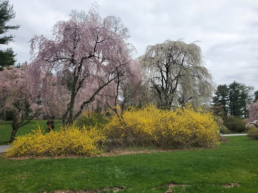 Park «Hart`s Brook Park and Preserve», reviews and photos, 156 Ridge Rd, Hartsdale, NY 10530, USA